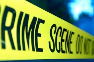 Estudiar criminología: ¡La ciencia del crimen!