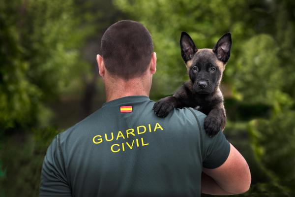 Requisitos para ser Guardia Civil: ¿Qué necesito?